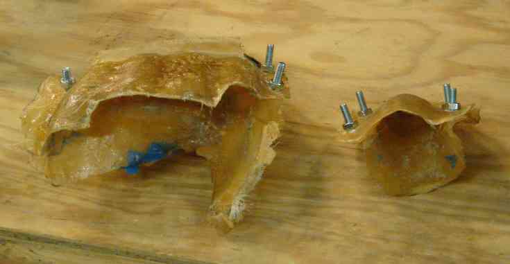 molds for hand and thumb